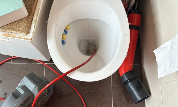 WhatsApp Image 2025-07-14 at 11.01.47 AM