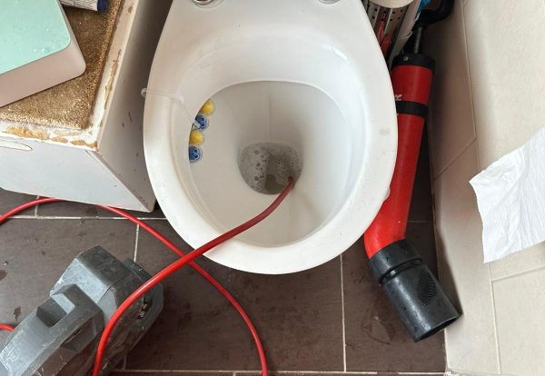 WhatsApp Image 2025-07-14 at 11.01.47 AM